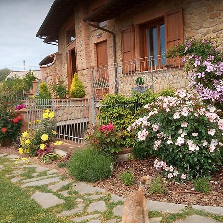 Olivo Bonsai Hotel Passignano sul Trasimeno Exterior foto